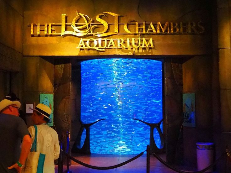The Lost Chambers Aquarium